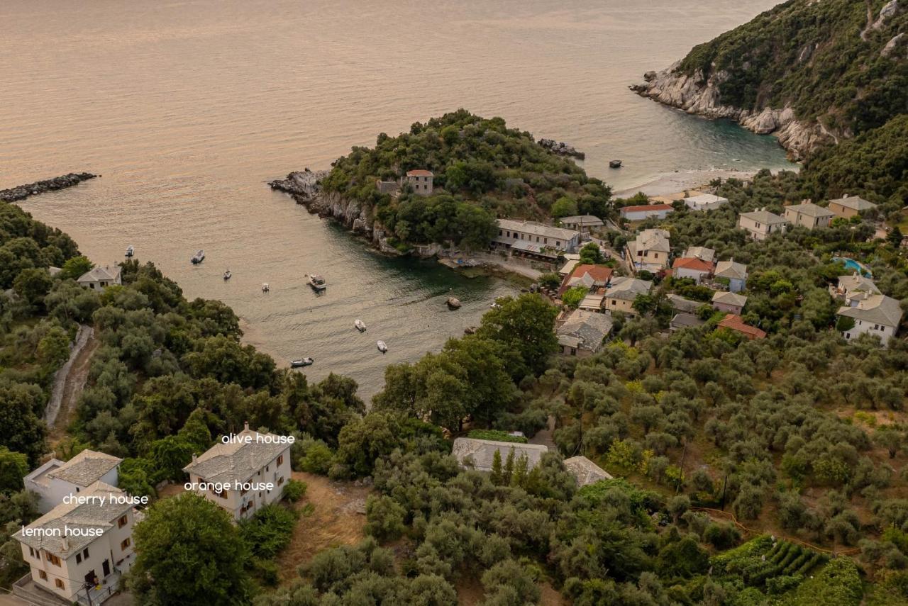Olive House In Damouchari With A Sea View - Delicious Houses Kültér fotó